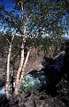 Mountains (9)